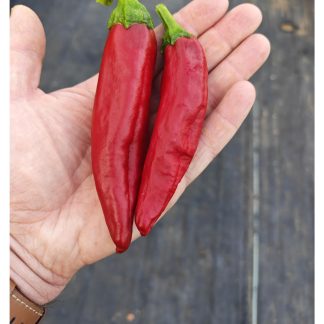 Hatch Rattlesnake Chilli