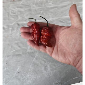 Purple Gator Jigsaw Chilli