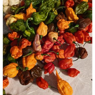 Fresh Chillies